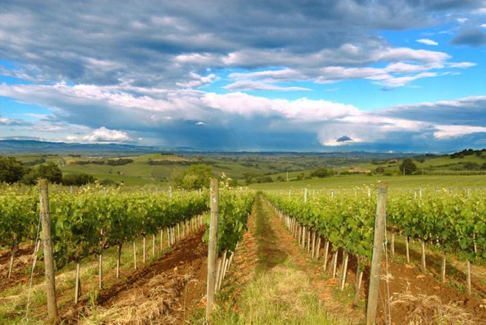Abbadia Wine Relais Bed and Breakfast Montefollonico Exteriör bild