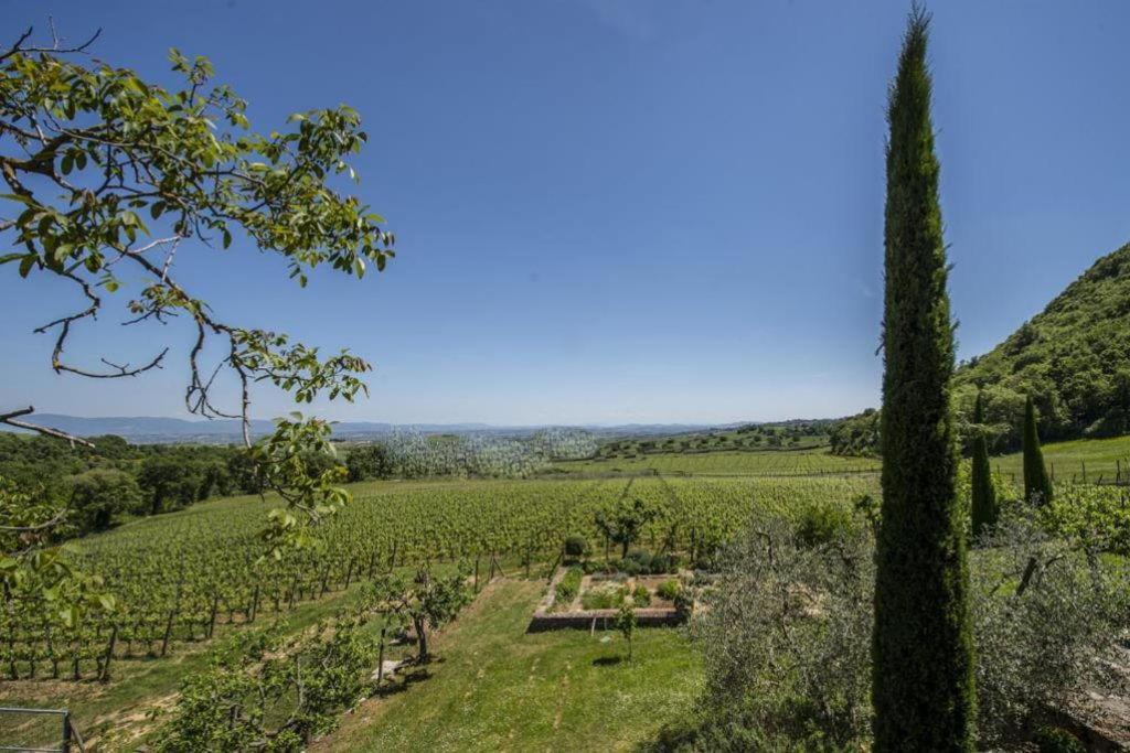 Abbadia Wine Relais Bed and Breakfast Montefollonico Exteriör bild