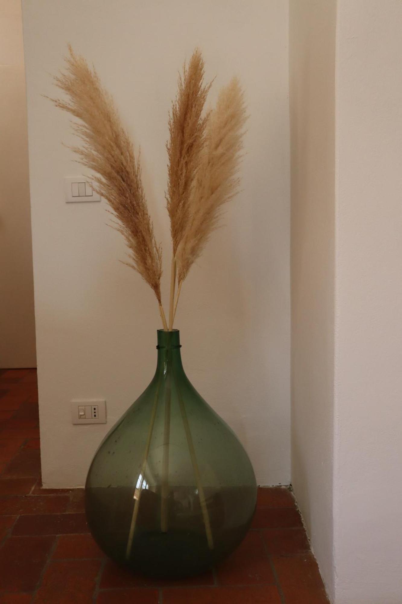 Abbadia Wine Relais Bed and Breakfast Montefollonico Exteriör bild
