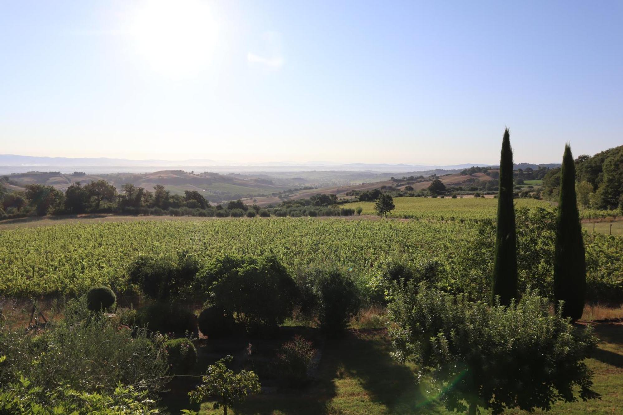 Abbadia Wine Relais Bed and Breakfast Montefollonico Exteriör bild