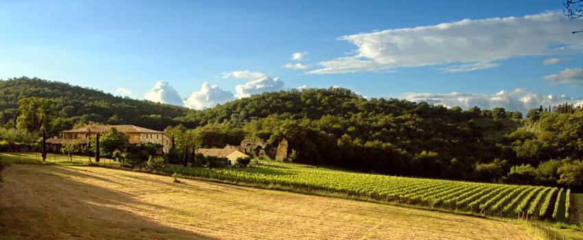Abbadia Wine Relais Bed and Breakfast Montefollonico Exteriör bild