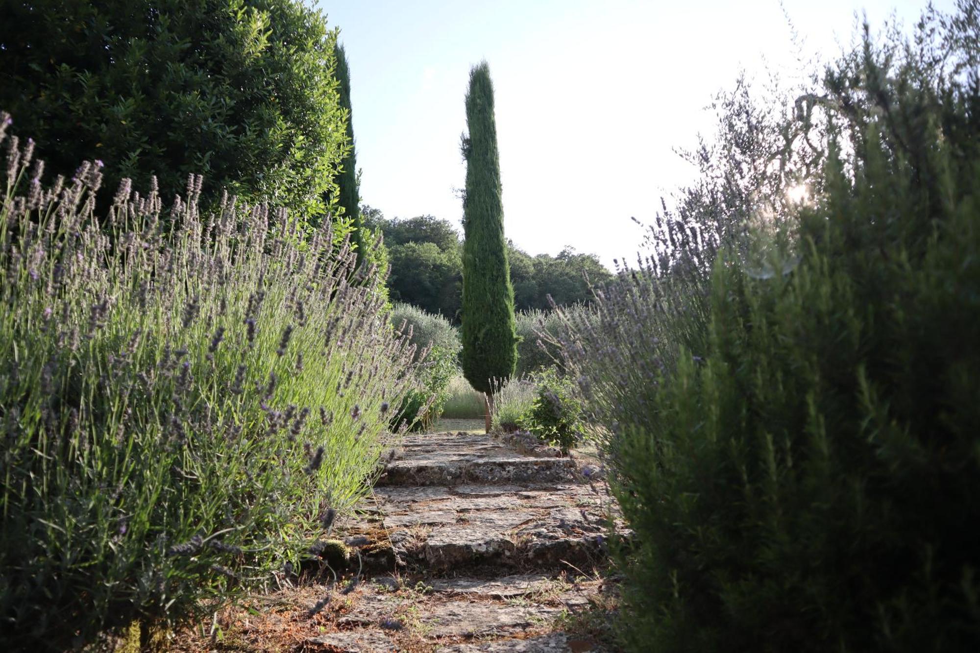 Abbadia Wine Relais Bed and Breakfast Montefollonico Exteriör bild