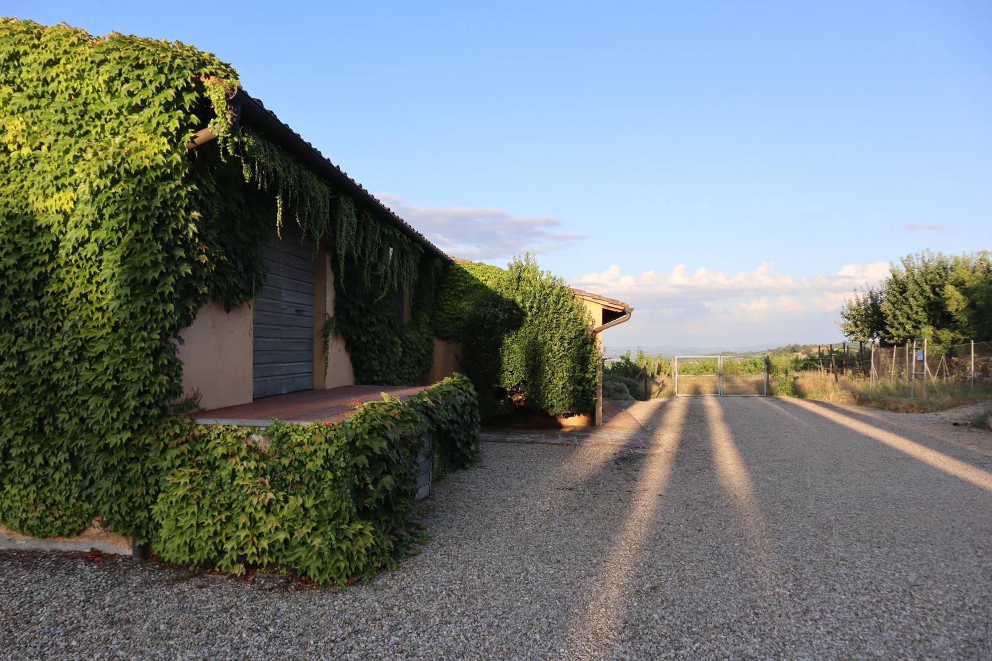 Abbadia Wine Relais Bed and Breakfast Montefollonico Exteriör bild