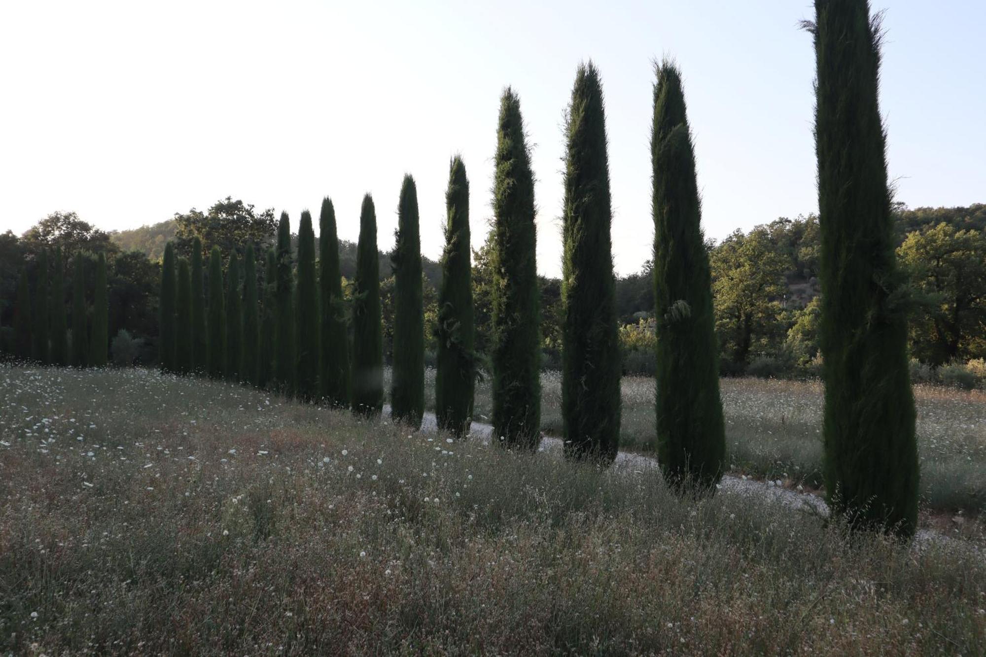 Abbadia Wine Relais Bed and Breakfast Montefollonico Exteriör bild