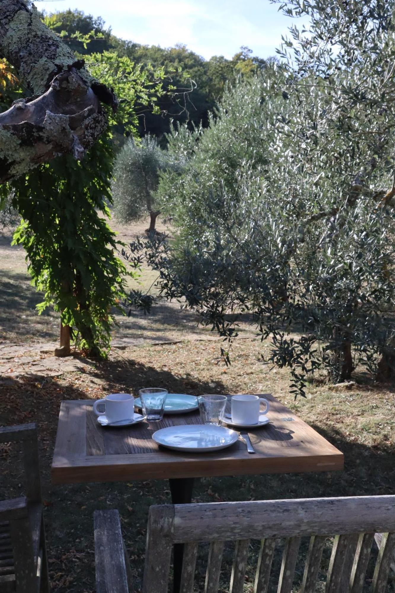 Abbadia Wine Relais Bed and Breakfast Montefollonico Exteriör bild