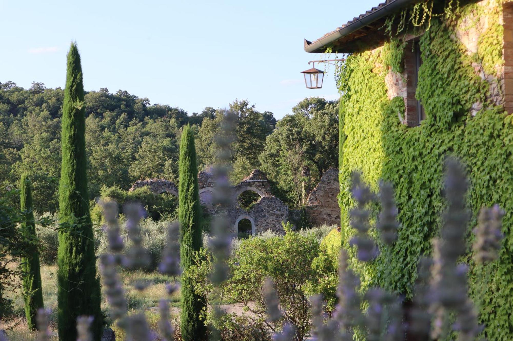 Abbadia Wine Relais Bed and Breakfast Montefollonico Exteriör bild