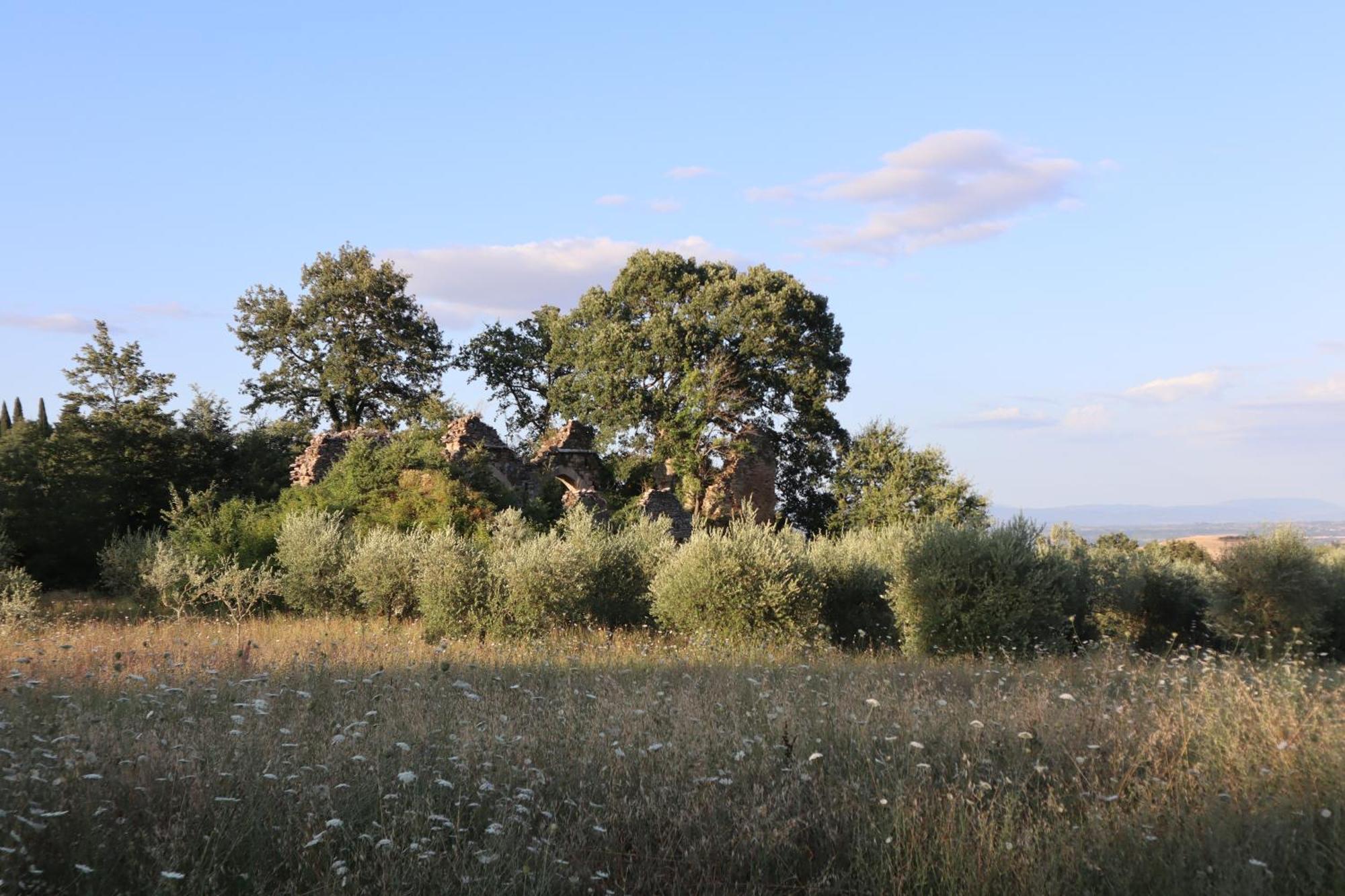 Abbadia Wine Relais Bed and Breakfast Montefollonico Exteriör bild