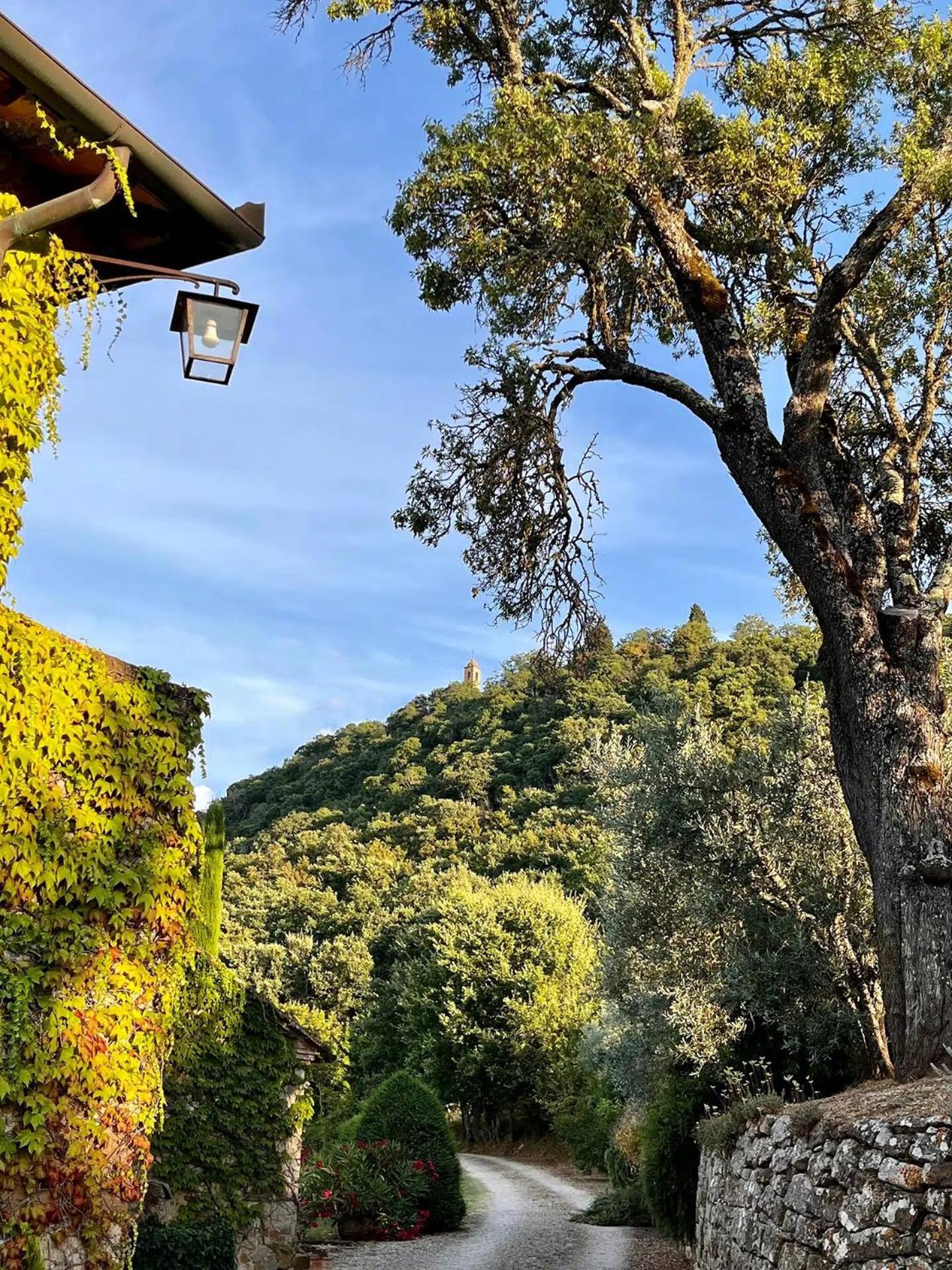 Abbadia Wine Relais Bed and Breakfast Montefollonico Exteriör bild